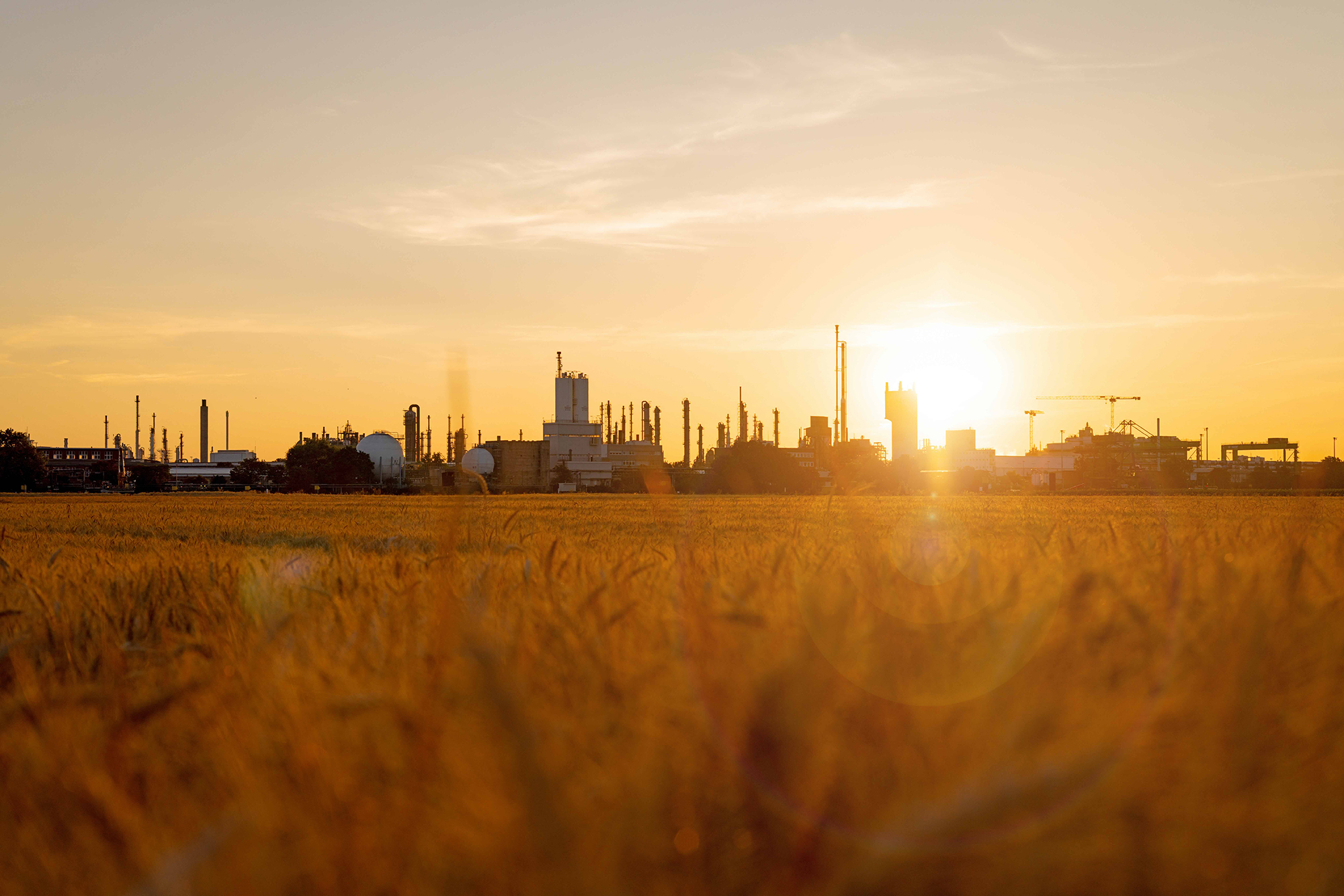 Industrieanlage am Flussufer bei goldenem Sonnenuntergang mit Gegenlicht.