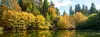 Der Perdsbrunner Weiher im Pfälzerwald ist ein beliebtes Ausflugsziel.