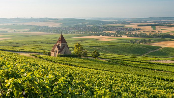 Vineyards and cross chapel near Gau-Bickelheim