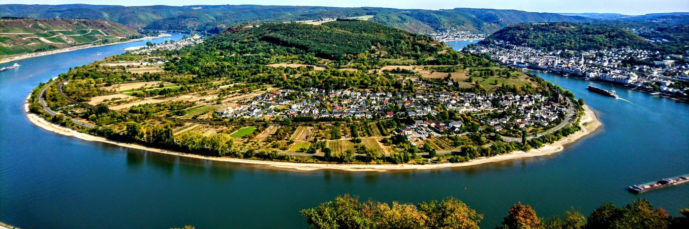 Blick auf die Rheinschleife am Bopparder Hamm