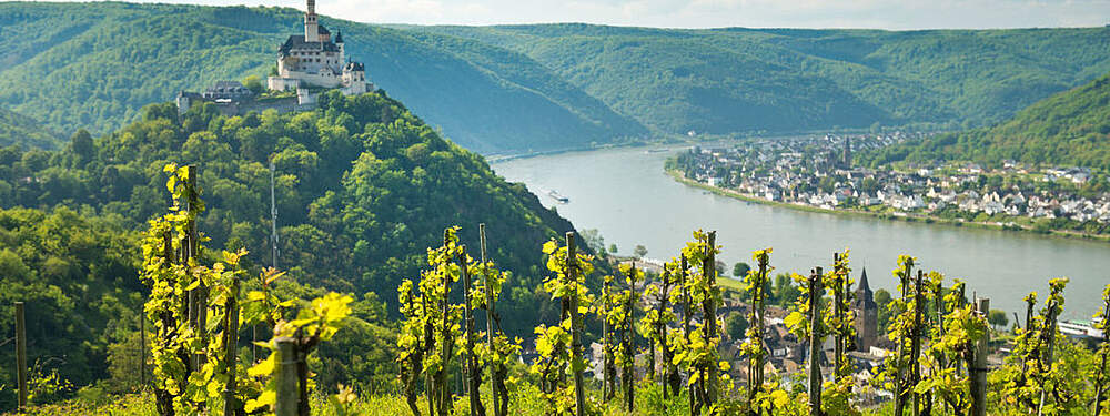 © Dominik Ketz / Rheinland-Pfalz Tourismus GmbH Grape vines at the Rhine with the Marksburg in the background.