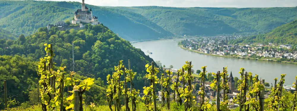 © Dominik Ketz / Rheinland-Pfalz Tourismus GmbH Grape vines at the Rhine with the Marksburg in the background.
