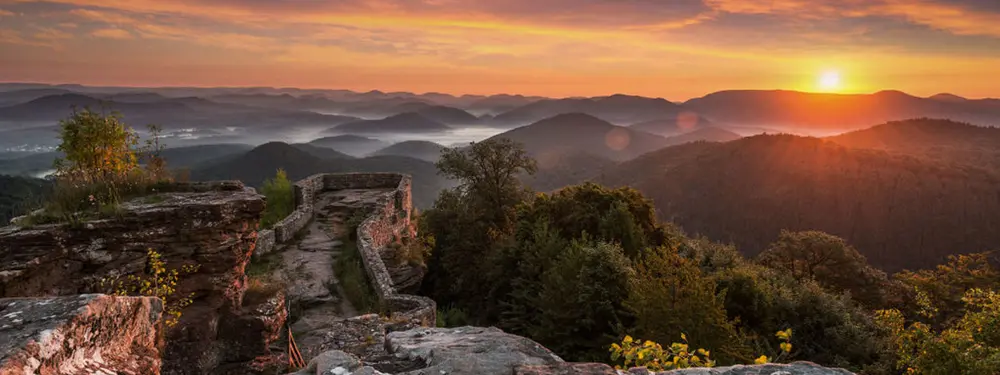 © Dominik Ketz / Rheinland-Pfalz Tourismus GmBH L'image de la nature verte