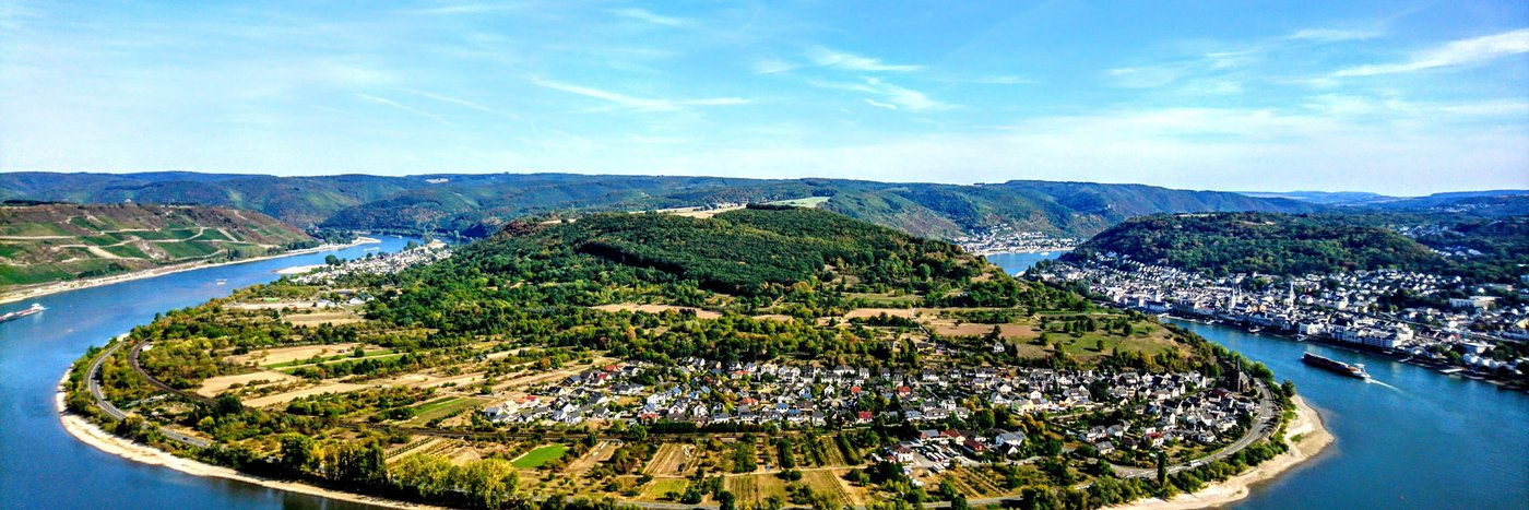 Vue sur la boucle du Rhin au Bopparder Hamm