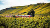 Roter Zug fährt durch grüne Weinberge in einer hügeligen Landschaft.
